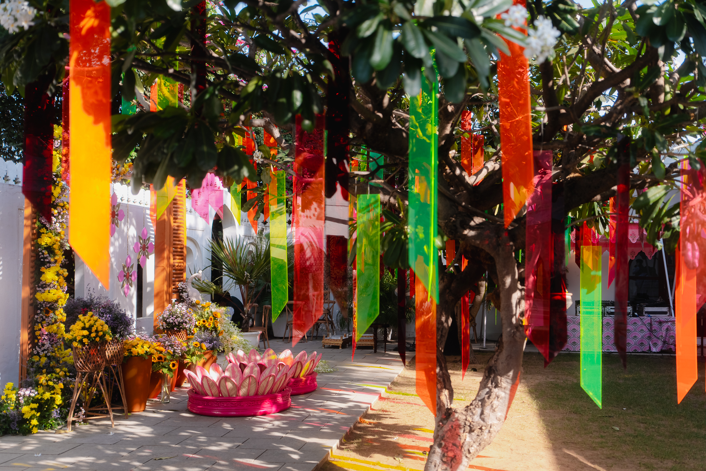 Image from Akhila Anand